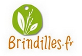 brindilles_logo