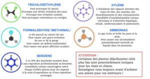 plantes_dépolluantes_gaz_toxique