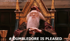 dumbledore_approval