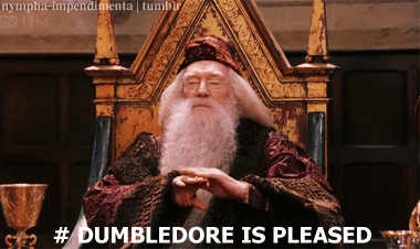 dumbledore_approval