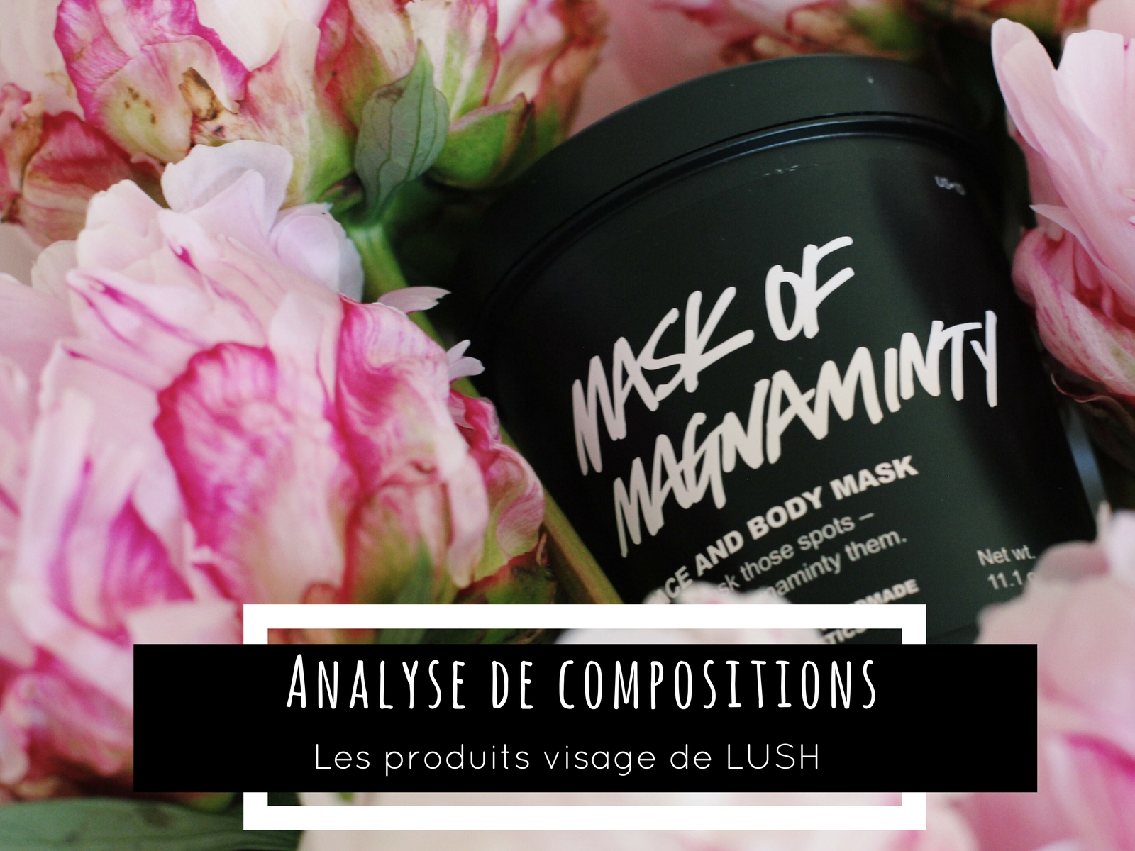 analyse_compositions_produits_visage_lush