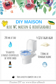 DIY bloc WC maison & naturels